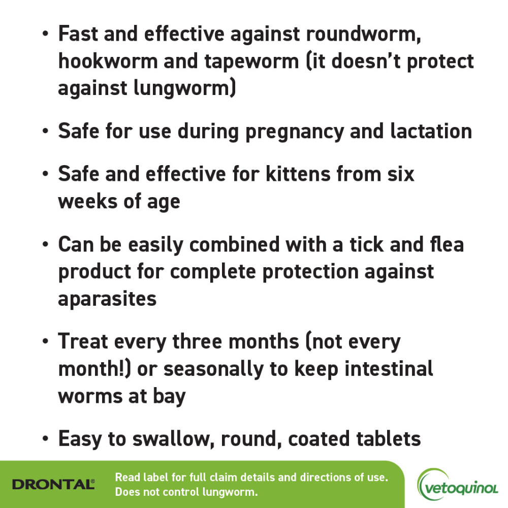 Drontal Large Cat Allwormer benefits including use from six weeks of age, suitability during pregnancy and lactation, and three-monthly treatment guidance