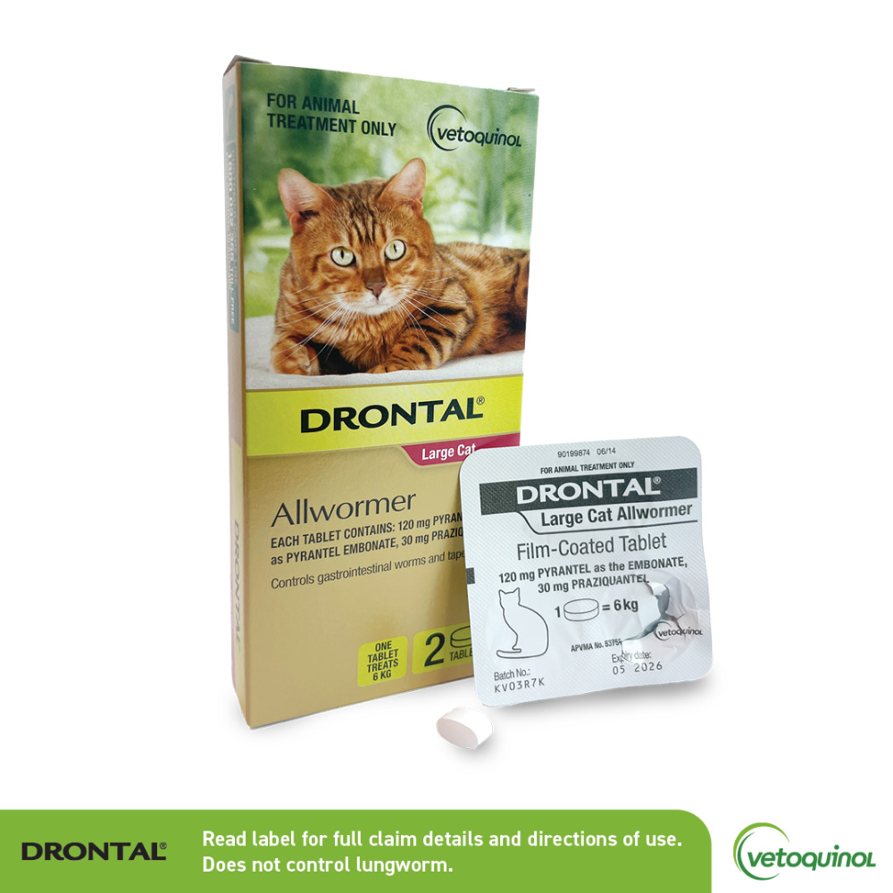 Drontal Large Cat Allwormer box with blister pack and film-coated tablet formulated to treat cats weighing up to 6kg