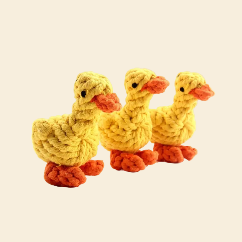 Three identical braided rope duck toys standing in a row on a yellow background, highlighting the consistent craftsmanship and vibrant colors of the pet dental toy.