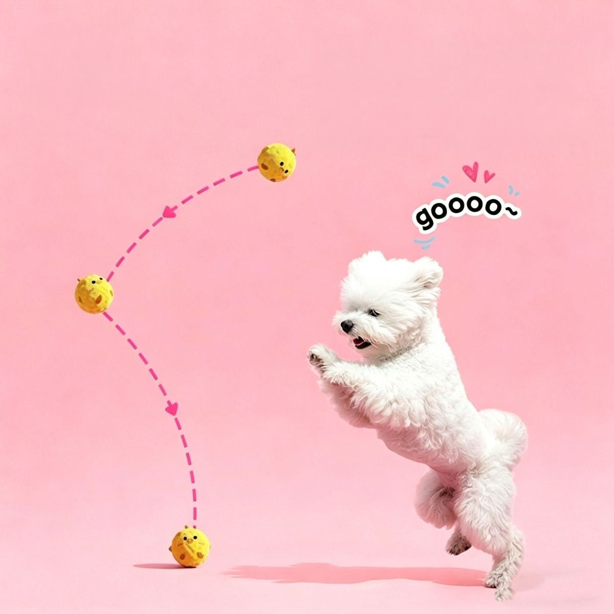 A white Bichon Frise happily jumping to catch the Yellow Chick squeaky ball. Graphic pink dotted lines illustrate the unpredictable, erratic bounce trajectory caused by the hidden TPR core.