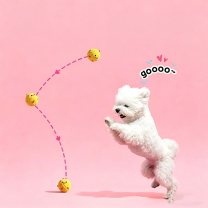 A white Bichon Frise happily jumping to catch the Yellow Chick squeaky ball. Graphic pink dotted lines illustrate the unpredictable, erratic bounce trajectory caused by the hidden TPR core.