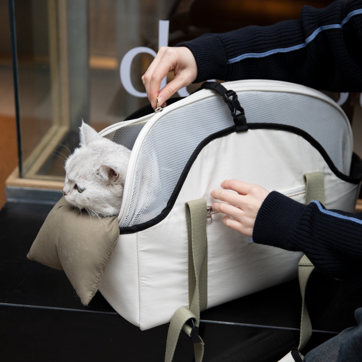 Close-up of a pet owner securing the breathable mesh top zipper on the cat carrier bag, showcasing the escape-proof design and comfortable peek-a-boo resting area.