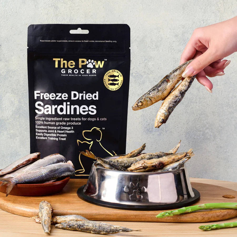 A person holding two whole freeze-dried sardines over a pet bowl. Real, raw texture of whole fish treats for picky eater meal toppers.