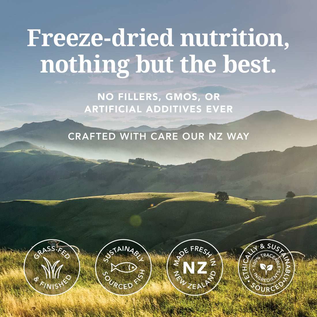 New Zealand landscape highlighting grass-fed lamb and sustainably sourced fish ingredients