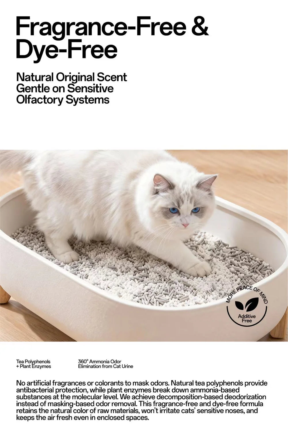 A fluffy Ragdoll cat comfortably using the fragrance-free and dye-free FluffyMW plant blend cat litter in a modern white litter box.