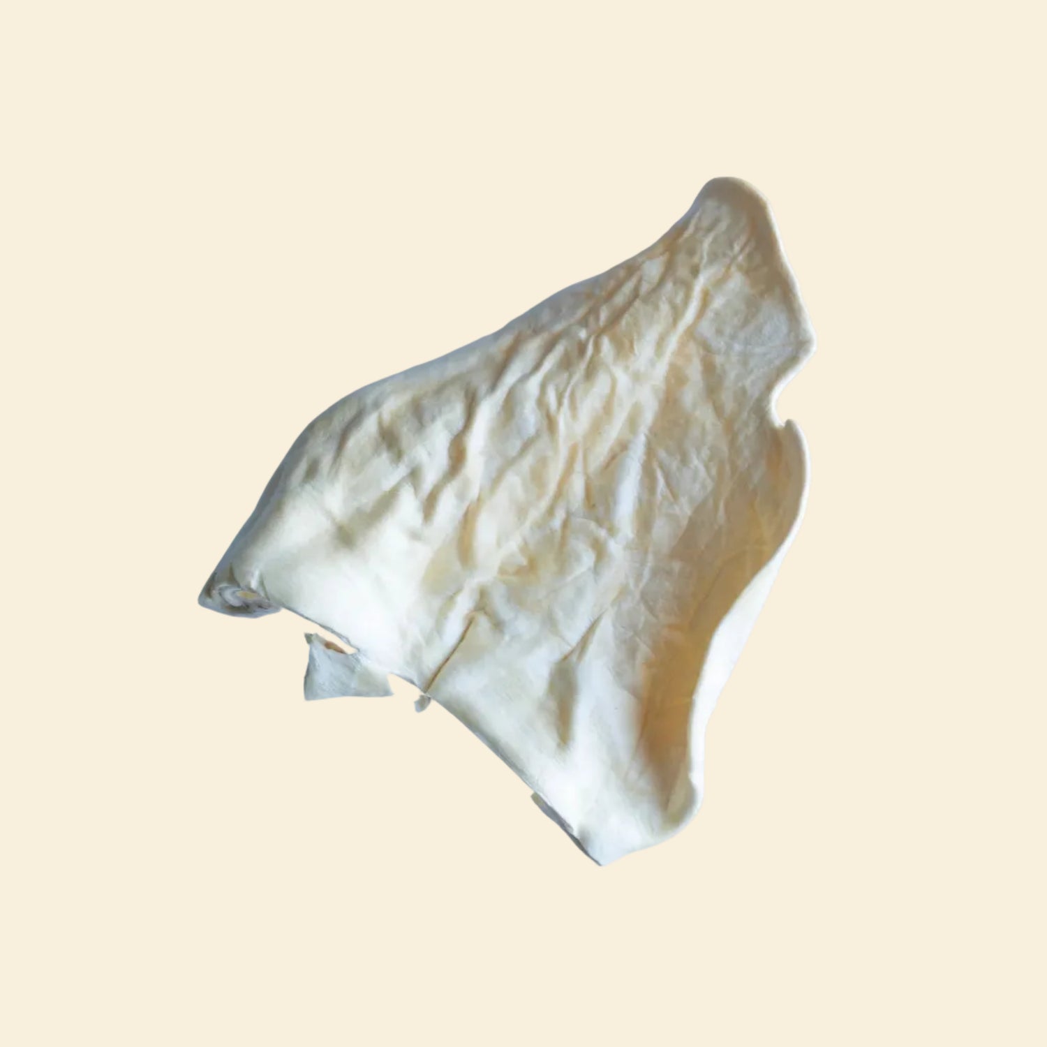 A close-up view of a single freeze-dried beef ear dog chew resting on a clear acrylic stand, highlighting its natural cartilage texture and clean, grease-free qualities.