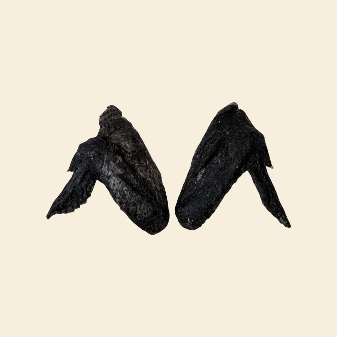 Two whole freeze-dried Silkie chicken wings displayed against a solid black background, highlighting the unique dark meat and bone structure of this exotic, nutrient-dense dog chew.