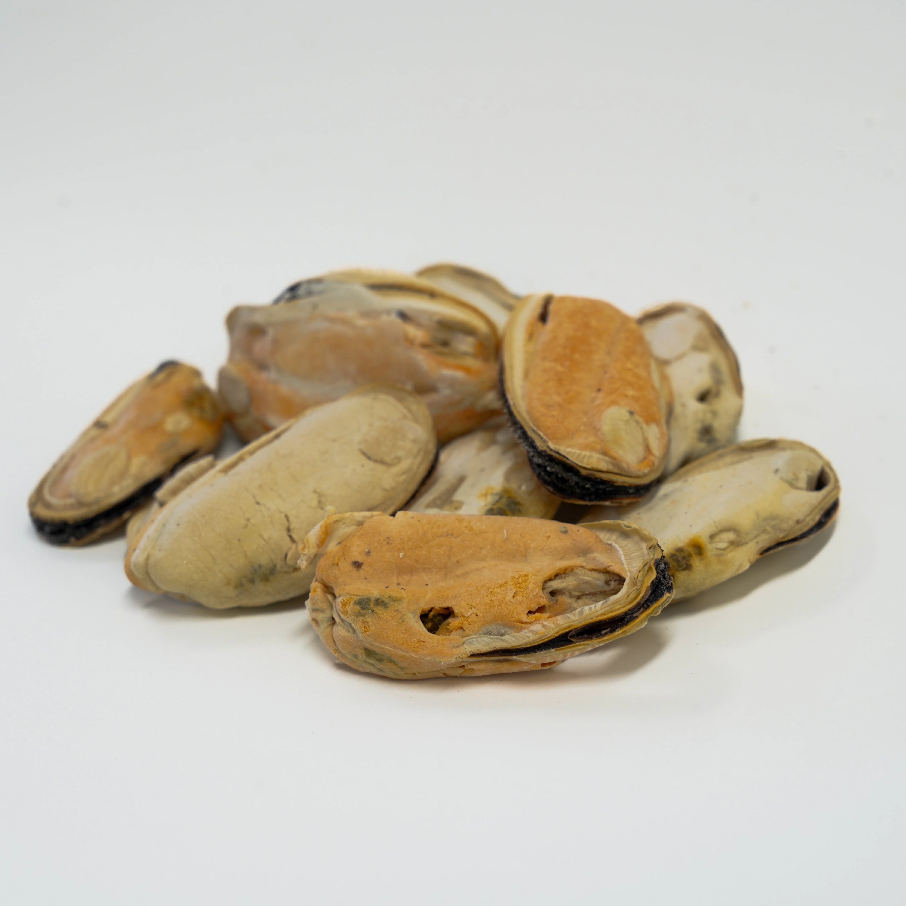 Close-up of Rafa Raw freeze-dried Green Lipped Mussels. Gently freeze-dried completely raw to retain maximum natural potency, Omega-3s, and a satisfying crunch for pets.