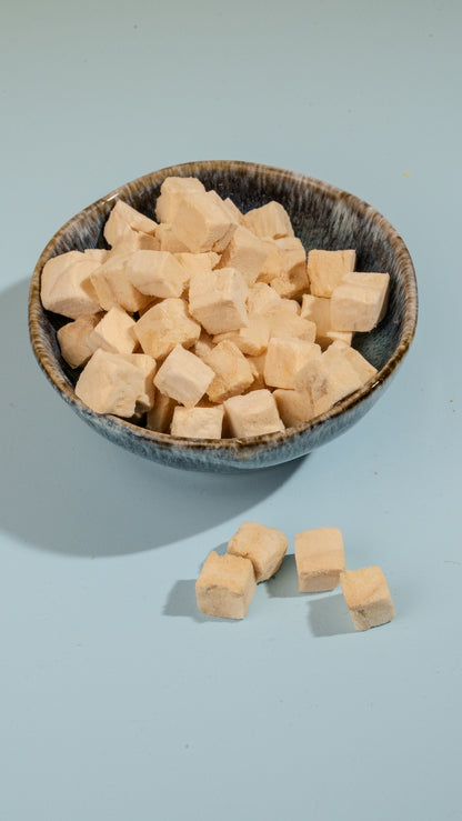 A dark ceramic bowl filled with square freeze-dried salmon cubes on a light blue background, showcasing a premium skin and coat supplement for pets.