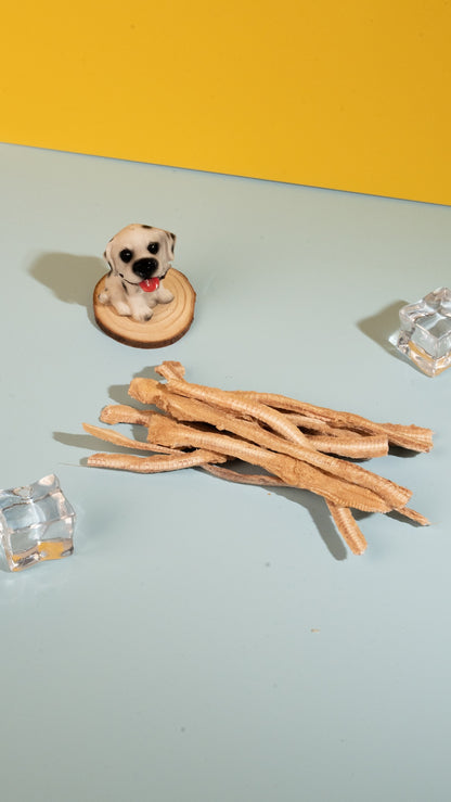 Freeze-dried shark cartilage sticks displayed on a light blue background next to a small dog figurine and ice cubes, highlighting a natural joint and dental chew for pets.