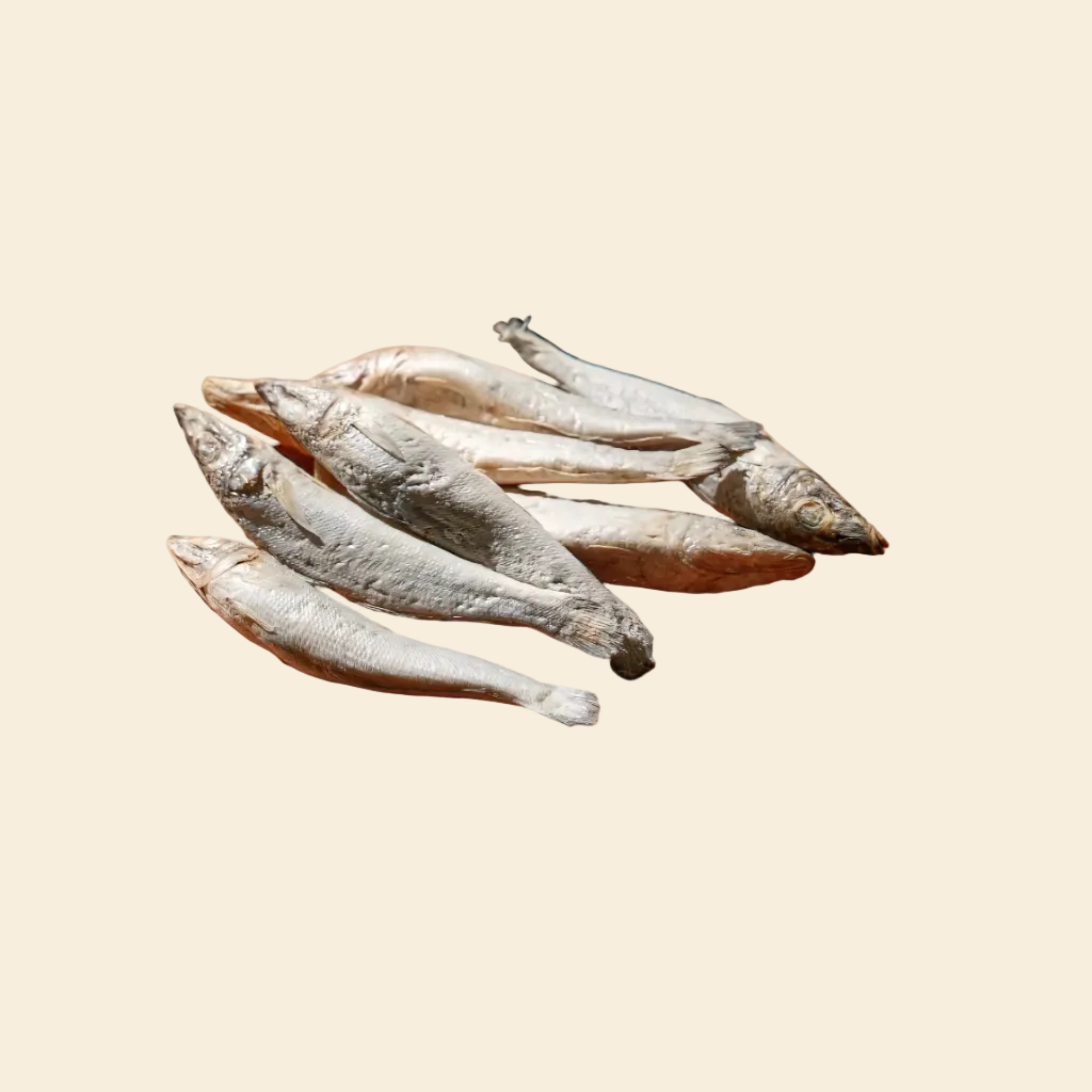 A close-up stack of several whole, freeze-dried Silver Sillago fish on a plain background, showcasing their natural texture and crunchy, whole-prey form that provides essential Omega-3 fatty acids.