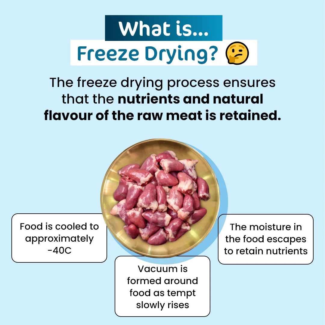 Infographic explaining the gentle freeze-drying process that locks in maximum flavor and raw nutrients in The Paw Grocer chicken hearts without any artificial additives.