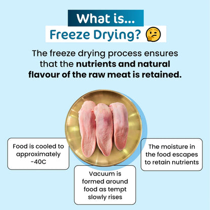 Educational infographic explaining the gentle freeze-drying process used for The Paw Grocer raw cat treats, ensuring the taurine, raw nutrients, and irresistible natural flavor of the pork tongue are perfectly retained.