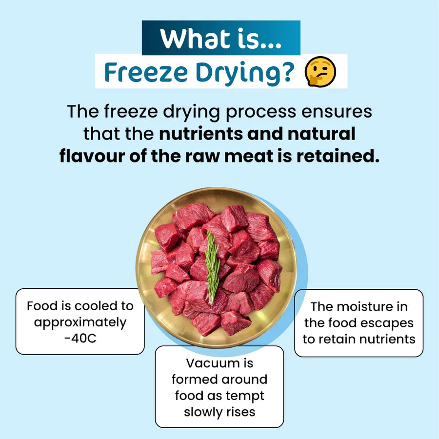 Educational infographic explaining the gentle freeze-drying process used for The Paw Grocer raw cat treats, ensuring the raw nutrients and natural flavor of the wild boar are perfectly retained.