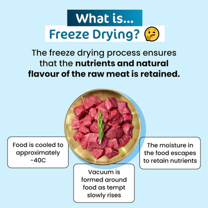 Educational infographic explaining the gentle freeze-drying process used for The Paw Grocer raw cat treats, ensuring the raw nutrients and natural flavor of the wild boar are perfectly retained.