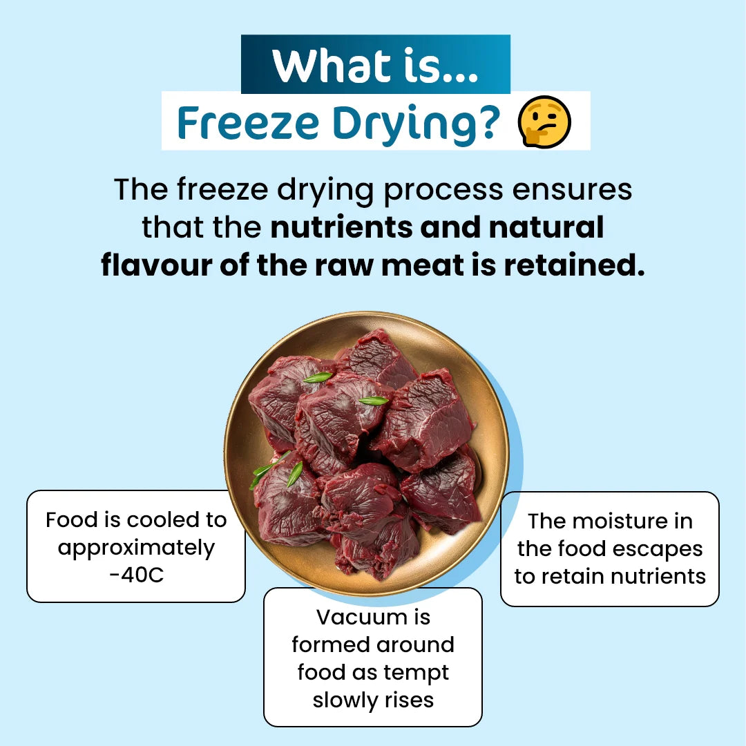 Educational infographic explaining the freeze-drying process at -40C to retain natural flavor and nutrients of raw kangaroo meat for cat treats.