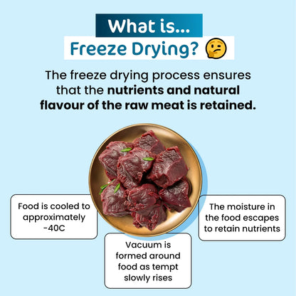 Educational infographic explaining the freeze-drying process at -40C to retain natural flavor and nutrients of raw kangaroo meat for cat treats.