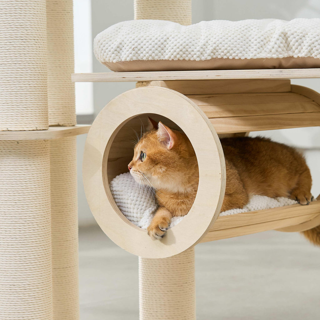 A ginger cat peering out from inside a cylindrical wooden tunnel hideaway.