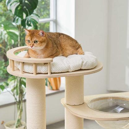 A ginger cat curled up and relaxing on the top circular platform with a white plush pad.