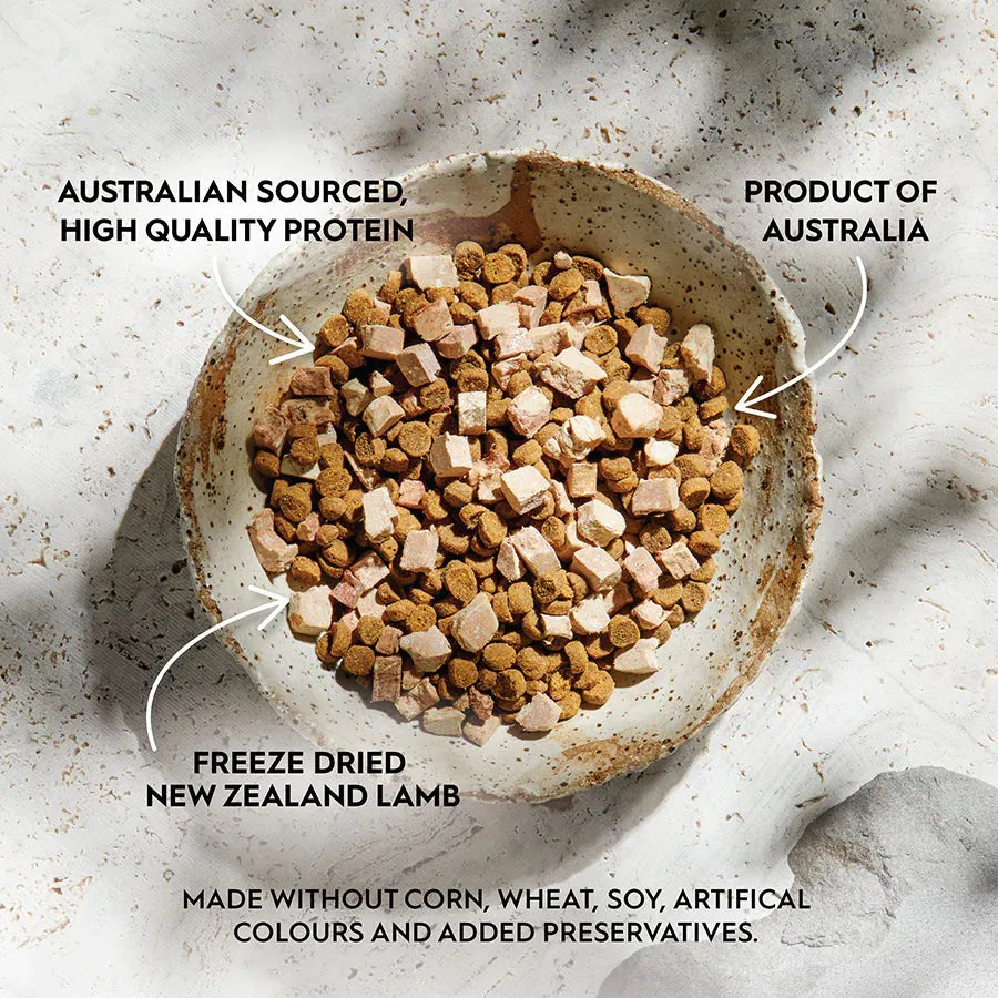 Top-down view of Trilogy Barramundi cat kibble mixed with square chunks of real freeze-dried New Zealand lamb. A grain-free, high-protein meal made without corn, wheat, soy, or artificial colors.
