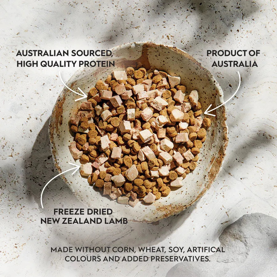 Top-down view of Trilogy Salmon cat kibble mixed generously with real freeze-dried New Zealand lamb square pieces in a ceramic bowl. Made without corn, wheat, or soy.