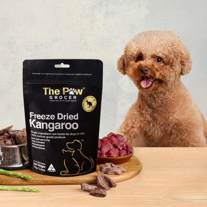 A happy poodle dog eagerly waiting for a high-value reward of The Paw Grocer Freeze-Dried Kangaroo treats, displayed next to fresh raw meat and the black product pouch.