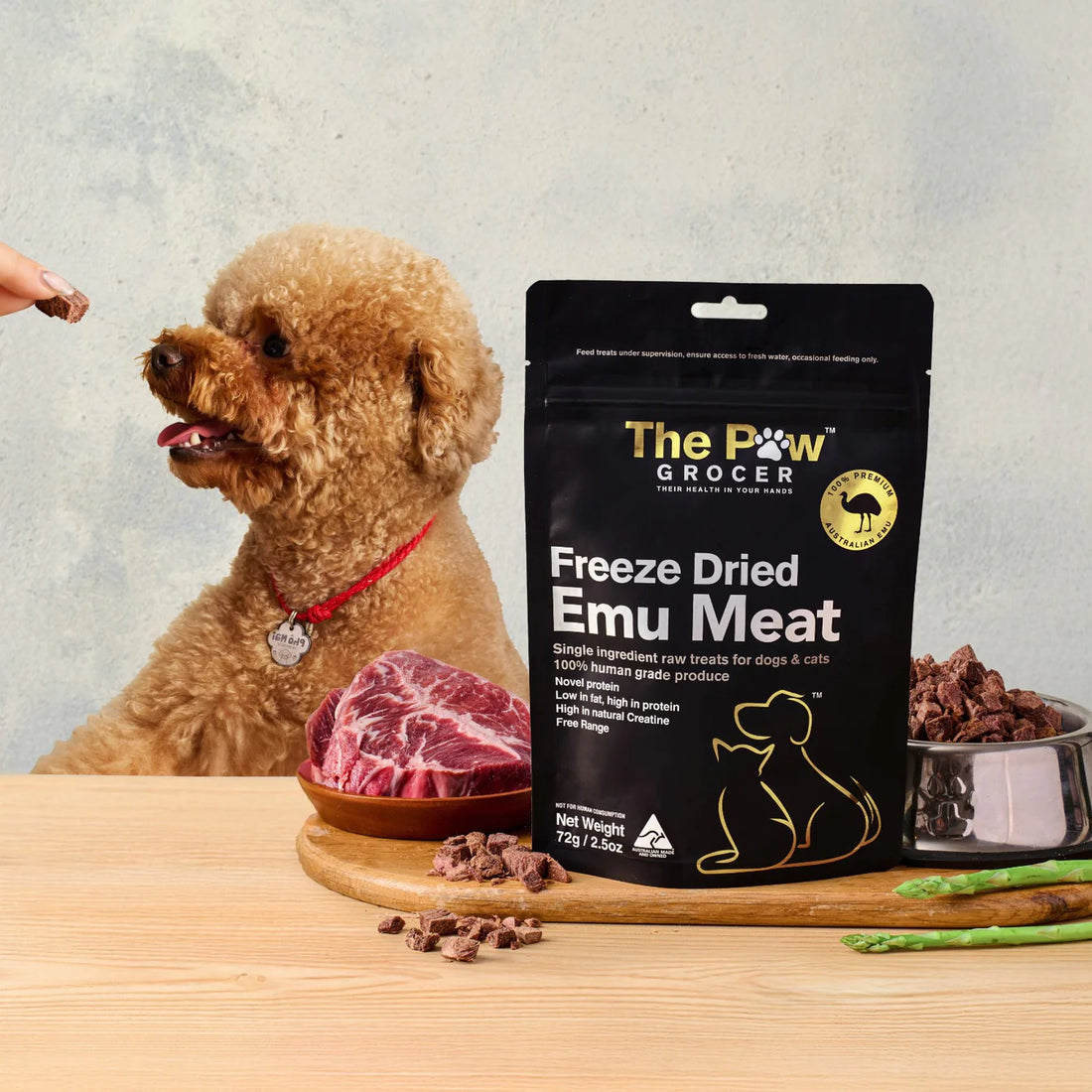 A happy poodle eagerly waiting for a high-value, low-fat reward of The Paw Grocer Freeze-Dried Emu Meat, displayed next to fresh raw meat and the black product pouch.