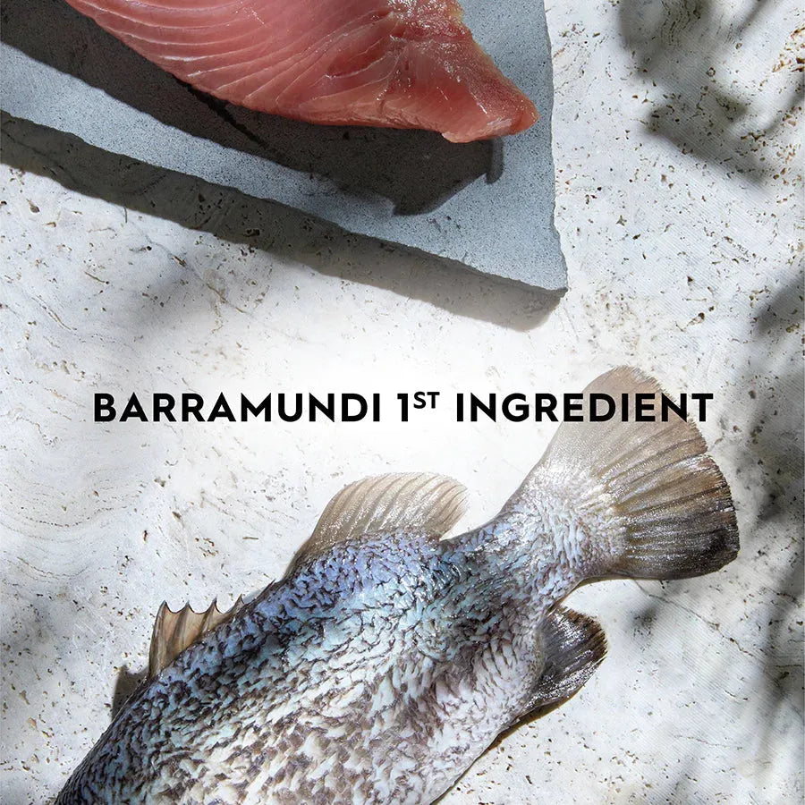 Close-up of fresh raw Australian Barramundi and Tuna fillets. Trilogy cat food uses sustainably sourced Barramundi as the number one ingredient for high-quality ocean protein.