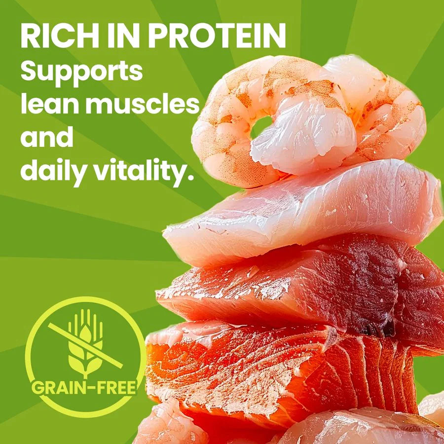 A vibrant stack of fresh, raw meat and seafood ingredients, highlighting the "Rich in Protein" and "100% Grain-Free" qualities of OPET cat treats that support lean muscle.