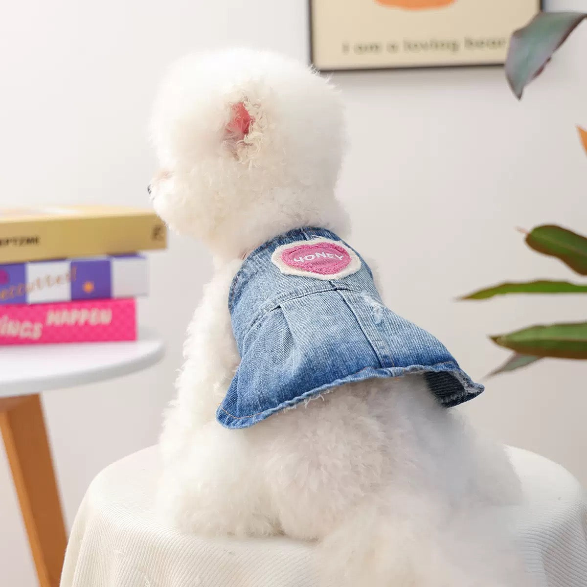 A fluffy white Bichon Frise sitting and facing away, wearing the Honey Heart Vintage Denim Dog Dress, showcasing the pink embroidered heart patch and pleated skirt.