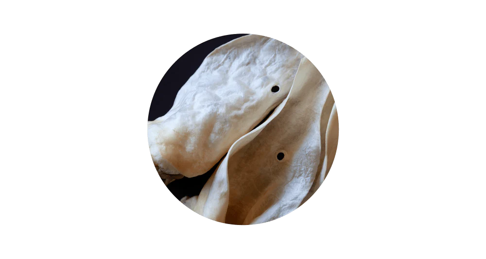 Close-up circular view of 100% pure air-dried venison ear chews, highlighting the tough and satisfying texture designed to clean teeth and support gum health for dogs with sensitive stomachs.