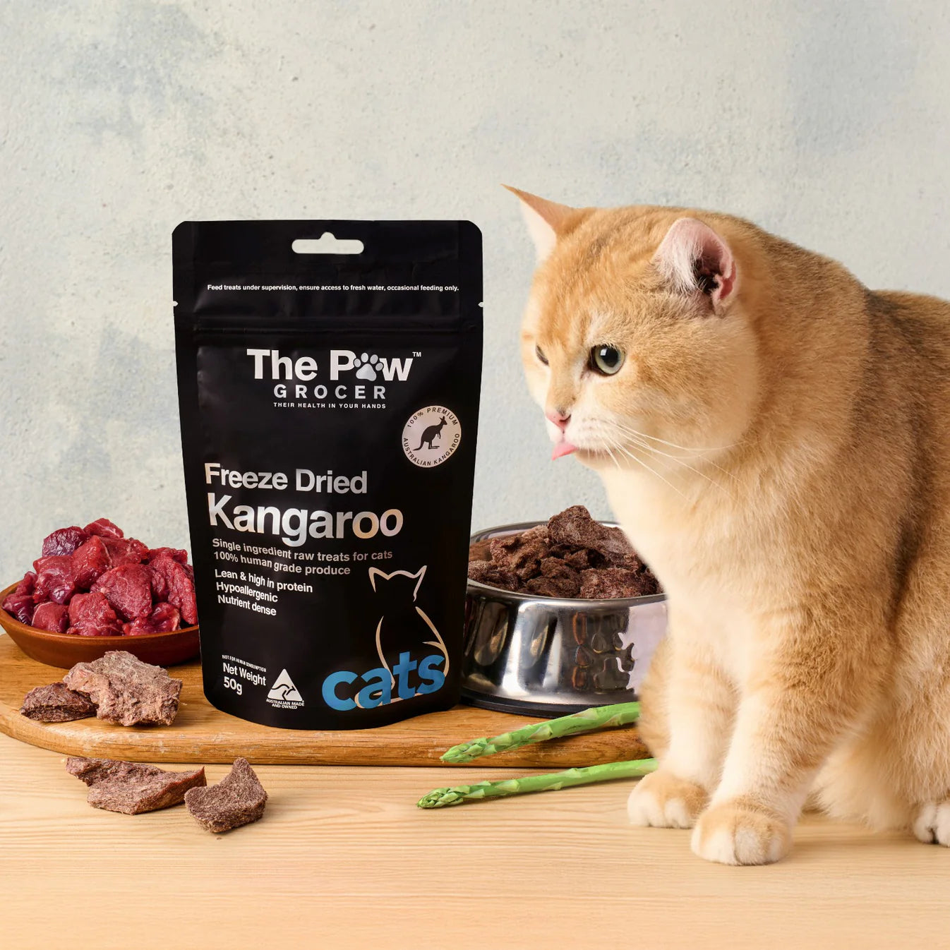 An orange British Shorthair cat looking at a bag of The Paw Grocer Kangaroo treats next to a bowl of raw meat. Best novel protein for cats with IBD or sensitive stomachs.