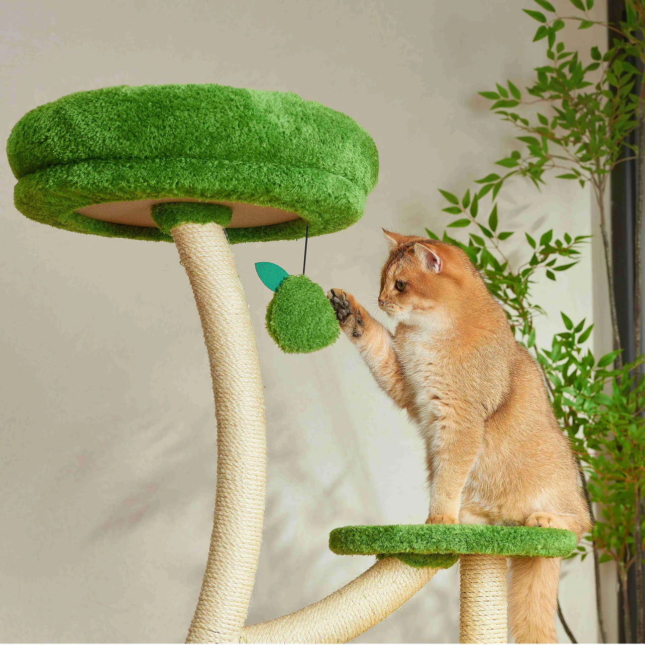A playful golden cat sitting on a plush platform and batting at a dangling green pom-pom toy attached to the Michu Verde modern cat tree.