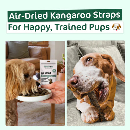Two-panel image showing a small dog eating kangaroo straps and a larger dog enjoying a whole strap. Promotes &