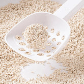 A solid clump of Kungfu Cat natural tofu litter in a white scoop, demonstrating fast 1.5-second clumping performance.