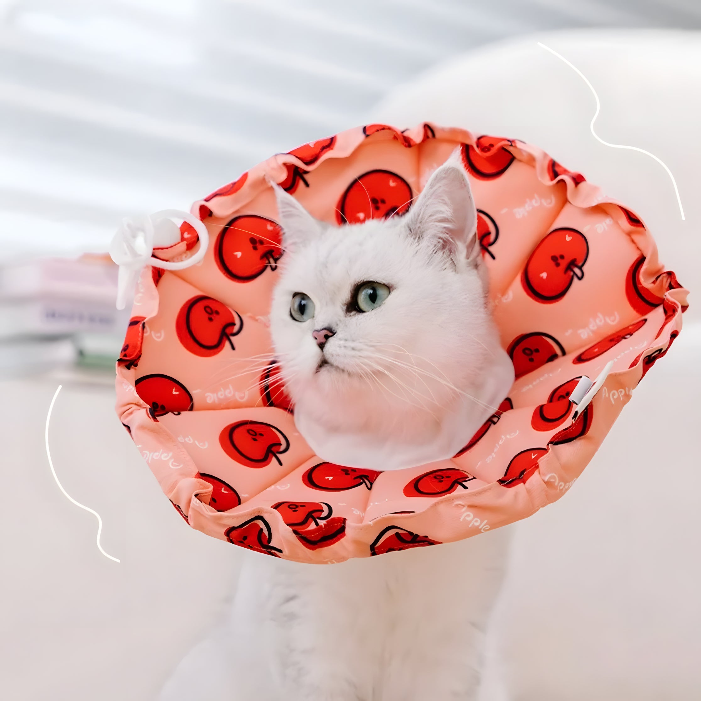 Cat wearing the Apple print soft collar. Features an adjustable drawstring toggle for a snug, zero-escape fit that doesn&