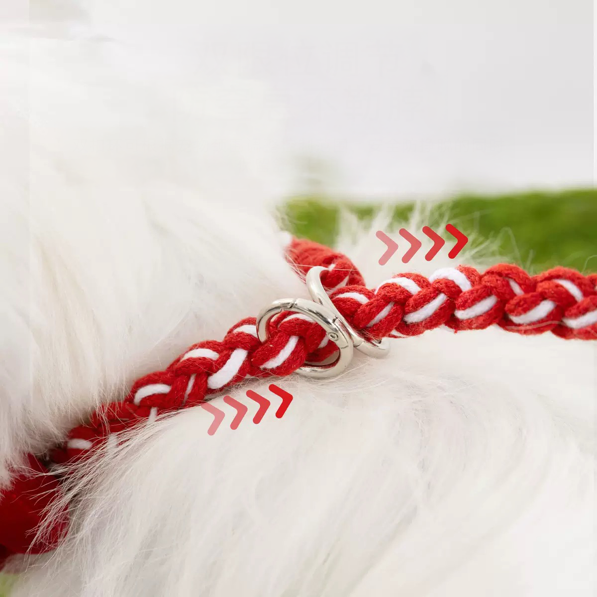 Close-up of the adjustable metal slide on the red dog collar. Features reinforced high-density webbing for tear resistance