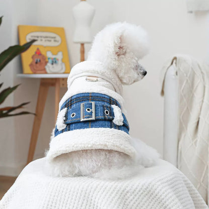 White Bichon Frise wearing the British Heritage Plaid Dog Jacket. Features a classic blue tartan pattern, faux shearling trim, and a decorative buckle belt.