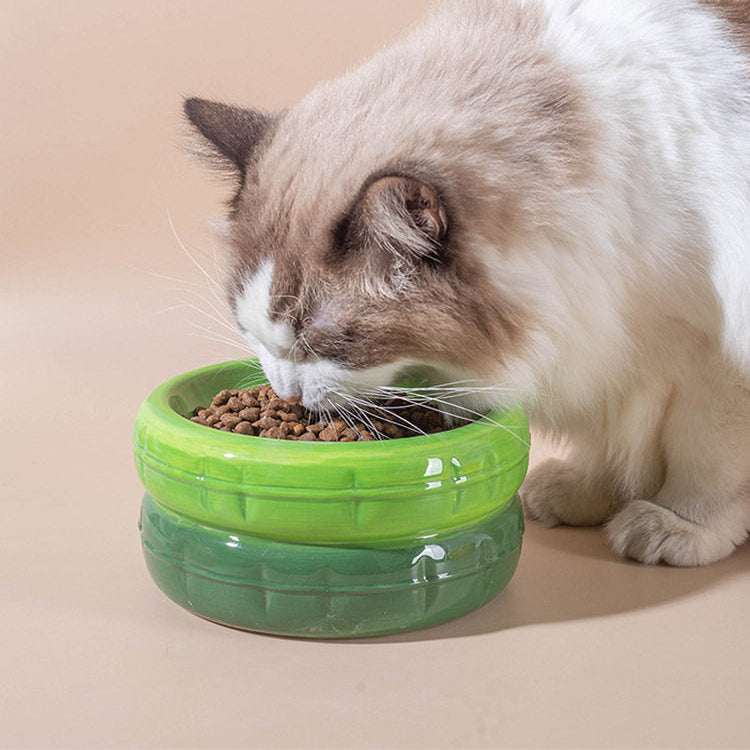 A close-up of a cat enjoying its meal from a vibrant green ceramic bowl, highlighting the shallow, pet-friendly design and smooth glossy finish.