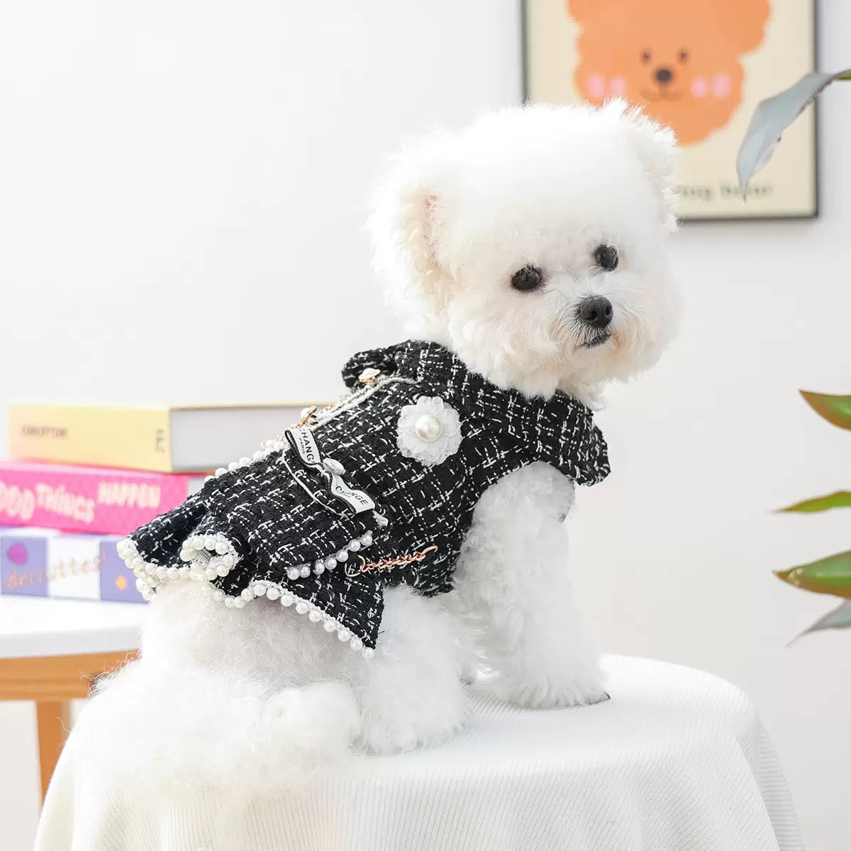 Side view of a fluffy dog in the Chic Tweed Backpack Dress. The structured tweed fabric provides warmth, featuring a camellia flower brooch and gold chain details
