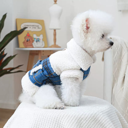 Side profile of a Bichon Frise in the British Heritage Jacket. The structured comfort design allows for unrestricted movement perfect for active dogs.