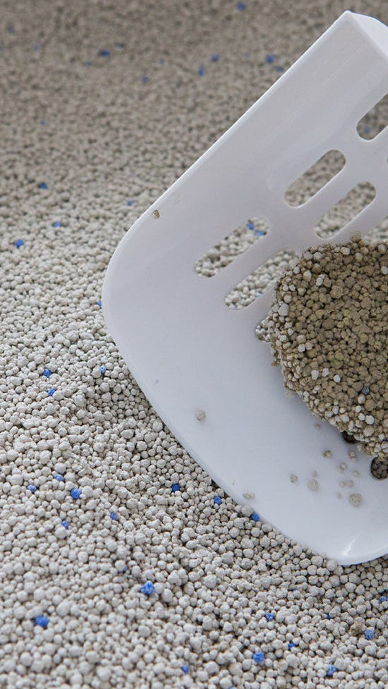 Bentonite Cat Litter