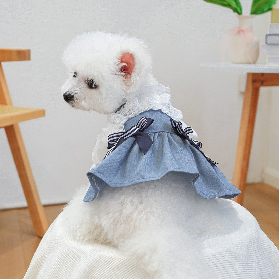 A white Bichon Frise wearing the Sea Breeze Denim Dress. The breezy, lightweight denim and tiered ruffles make it the perfect &