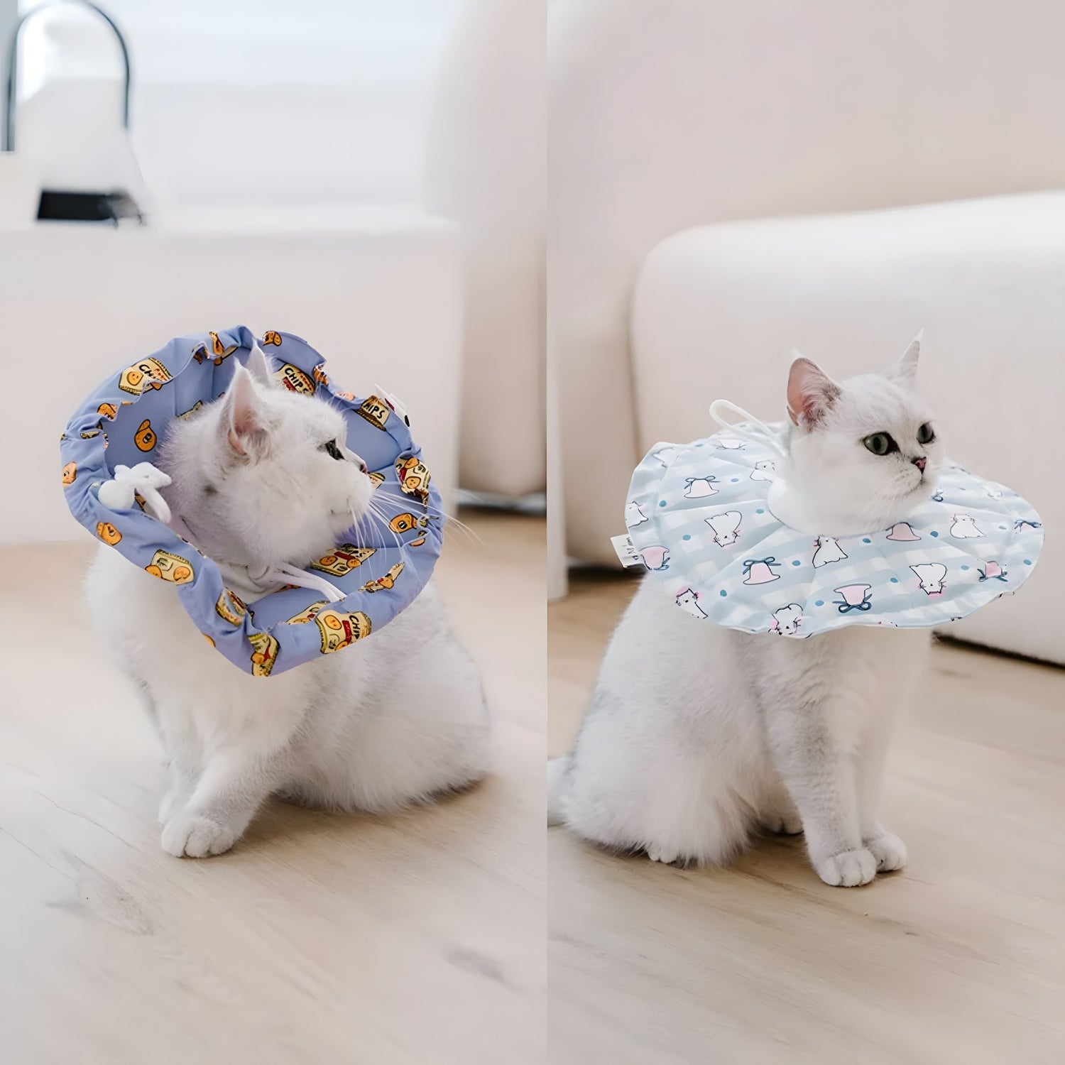 White British Shorthair wearing soft recovery collars. The flexible design serves as a portable pillow, allowing cats to eat, drink, and sleep normally