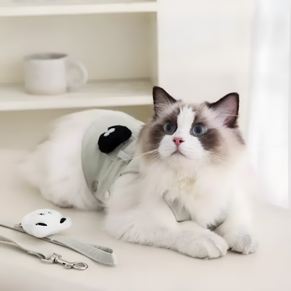 Ragdoll cat lying comfortably in the Panda Harness Dress. The vest structure distributes pressure evenly, offering a no-choke, safe walking experience