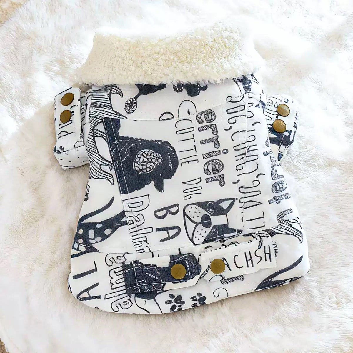 Flat lay of the graffiti dog coat featuring typography of various breeds like Terrier, Scottie Dog, and Dalmatian. A conversation starter for dog parks