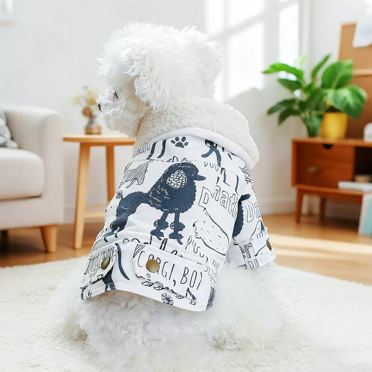 Back view of a white Bichon wearing the Doodle Art Parka. Features a hand-drawn graffiti print with a Poodle and &