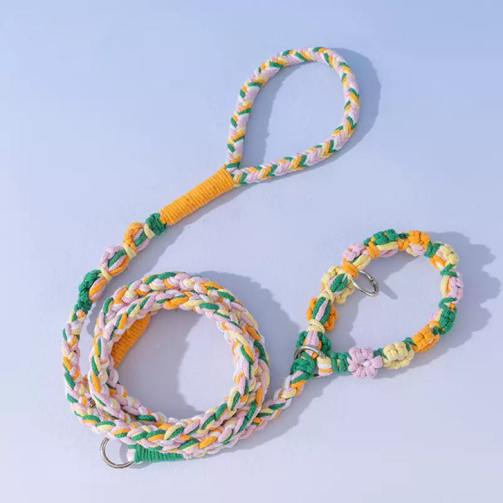 Dog Collar &amp; Leash Set in a pastel flower pattern. A stylish, boutique aesthetic set perfect for spring walks and photo ops