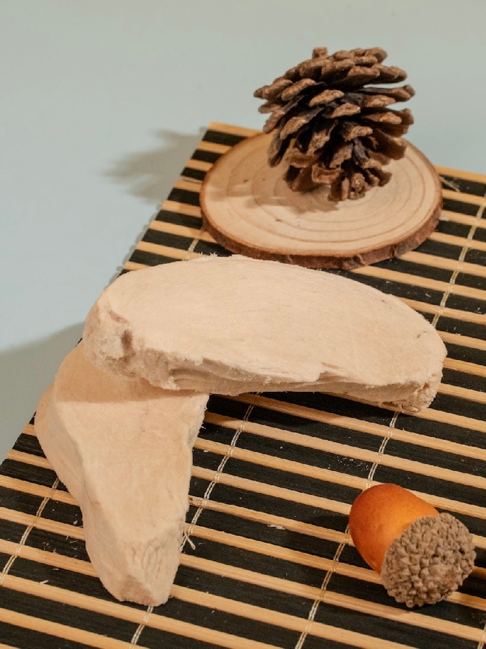 Some Freeze-Dried Chicken Breast on the table