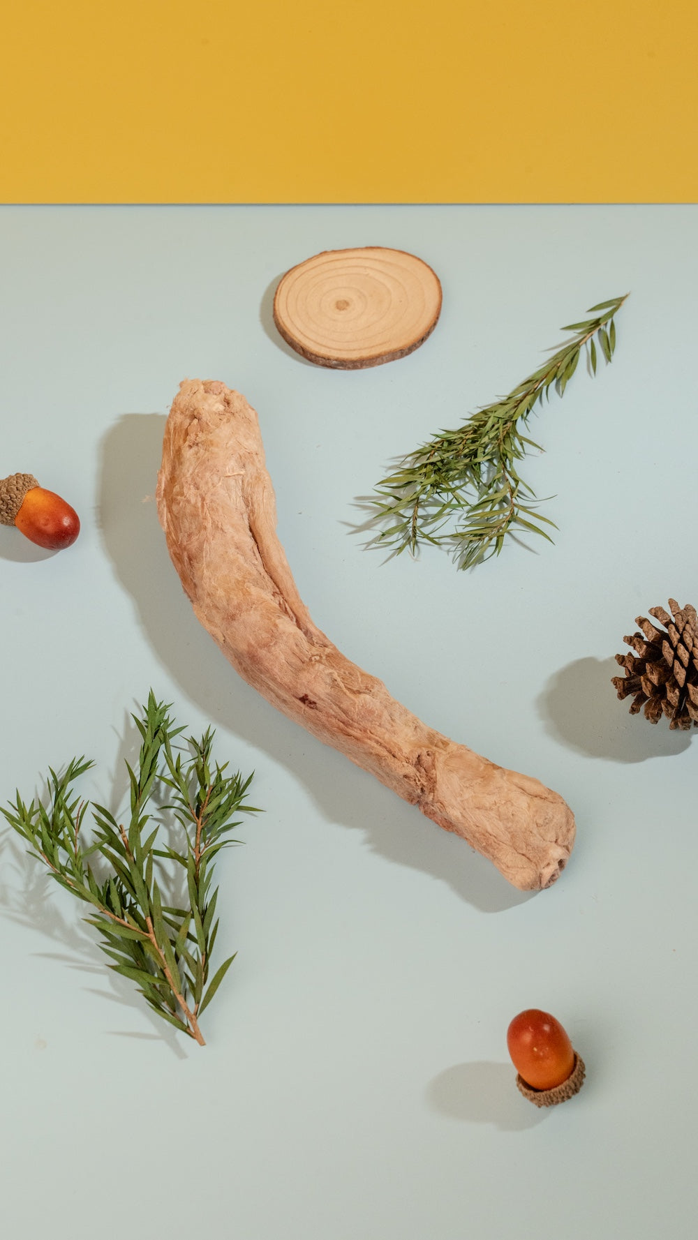 Single pouch of Freeze-Dried Duck Neck showing 60% minimum protein, hypoallergenic "cooling" meat treat for sensitive dogs